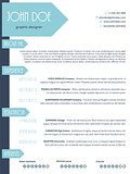 Simplistic modern resume curriculum vitae cv template design wit