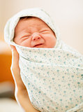 Portrait of Newborn Baby