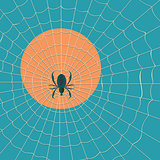 Big dark spider on the web