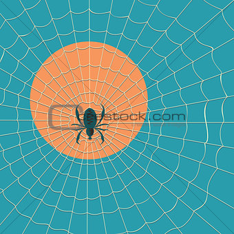 Big dark spider on the web