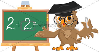 Owl teacher leads math lesson