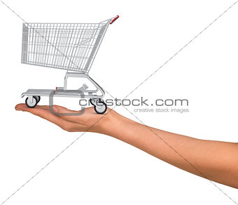 Shopping cart in humans hand