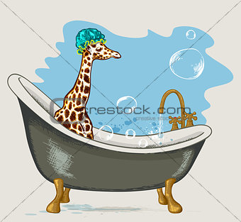 Giraffe sitting in the bathroom