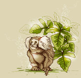 Monkey and green tropical plant