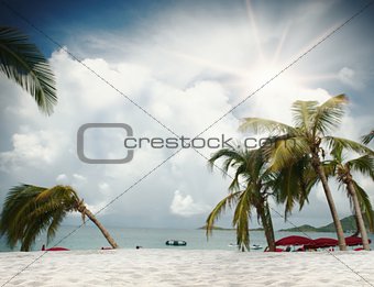 Tropical  beach