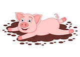 Cute pig in a puddle, funny piggy lies and smiling