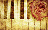 Music background with rose