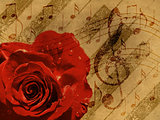 Music rose red background