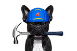 handyman  hammer dog 