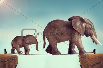 mother and baby elephant on a tightrope 