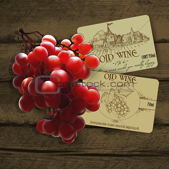 wine and grapevine