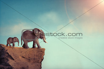 extinction concept elephant family on edge of cliff