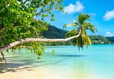 Beautiful tropical beach in Seychelles