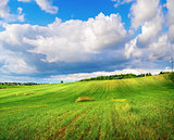 Field of grass and cloudy sky