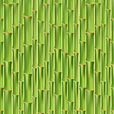 Green bamboo seamless texture