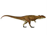 Carcharodontosaurus Side Profile