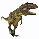 Giganotosaurus Carnivore