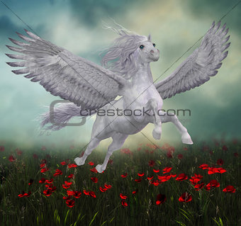 Pegasus and Red Poppies