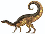 Plateosaurus Dinosaur Tail