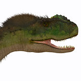 Rugops Dinosaur Head