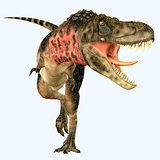 Tarbosaurus Carnivore Dinosaur