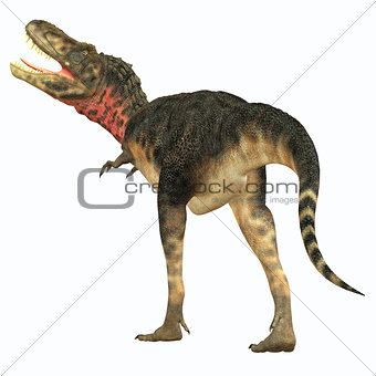 Tarbosaurus Dinosaur Tail