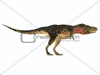 Tarbosaurus Side Profile