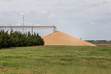  hard red winter wheat - big pile