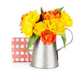 Colorful tulips in watering can and gift box