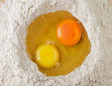 Egg Yolks