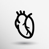 vector red human heart icon cardio cardiovascular