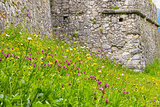 Meadow with castle