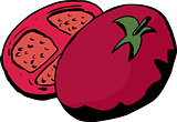 Sliced Tomato Cartoon