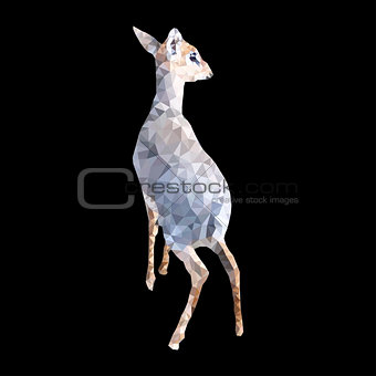 polygon illustration of dik dik antelope