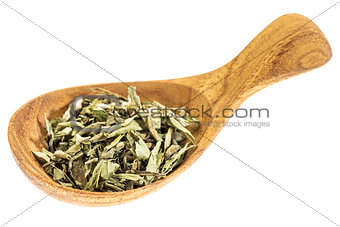 stevia dried leaves on wooden spoon
