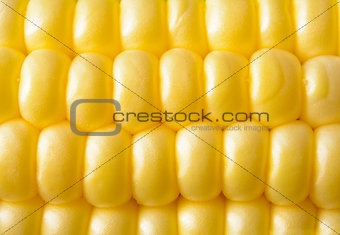 Closeup of Fresh Sweet Ripe Corn Seeds