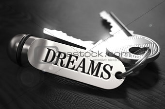 Keys to Dreams Concept on Golden Keychain.