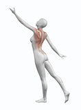 3D female figure reaching with muscle map