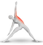 3D male figure in yoga pose with stretched side highlighted