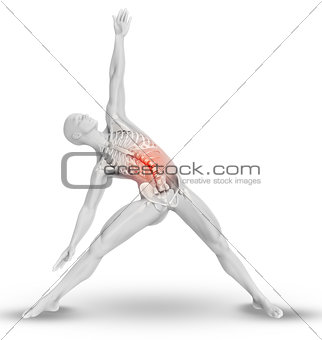 3D male figure with partial skeleton in yoga pose
