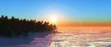 3D widecreen palm tree island at sunset