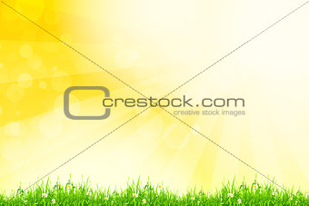 Fresh green grass with yellow bokeh and sunlight. Beauty natural