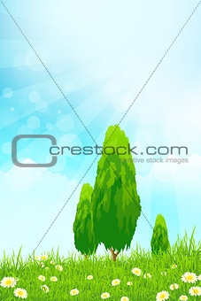Fresh green grass with yellow bokeh and Trees
