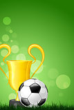 Soccer Ball with Trophy on Green Grass