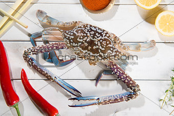 Raw blue crab