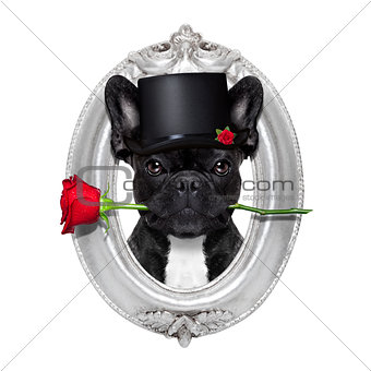 rose valentines dog