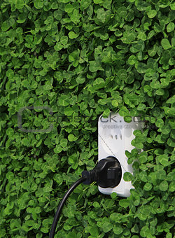 electric power receptacle on a green grass wall