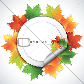 Stickers with colorful maple leaves on white background.