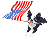 Boston Terrier Running Flag