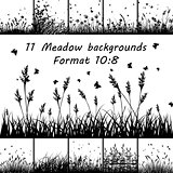 Set of Meadow backgrounds